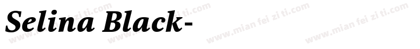 Selina Black字体转换